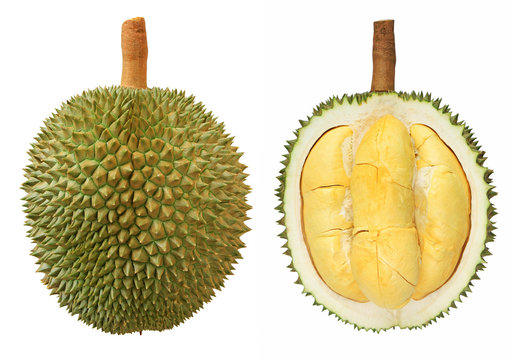 Closeup of durian fruits isolated on white