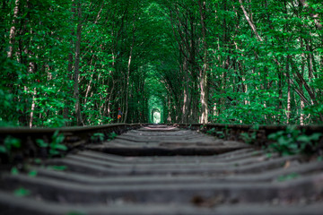Fototapeta na wymiar a railway in the spring forest tunnel of love