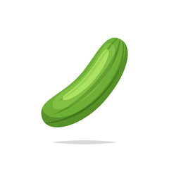Cucumber vector isolated
