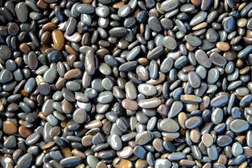 Abstract background texture, Colorful sea stones in water, top view