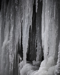 Icicles