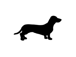 the silhouette of a Dachshund. raster illustration