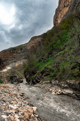 Fast mountain river in the gorge