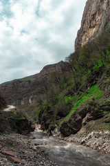 Fast mountain river in the gorge