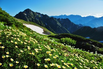 Tateyama Trekking  ~  summer