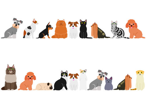 small dogs and cats border set