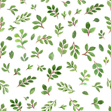 Seamless Watercolor Patters With Green Leaves