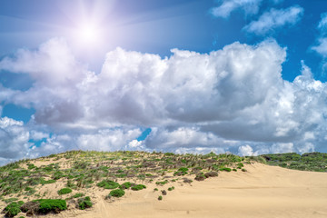 sand dunes along the shore on the outer banks. Sintra , Portugal