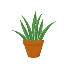 Brown flowerpot with aloe vera. Green medical plant. Houseplant for interior. Flat vector element for home decor or flower shop