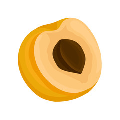 Half of fresh ripe apricot with bone. Natural and sweet fruit. Decorative flat vector element for juice or candy packaging