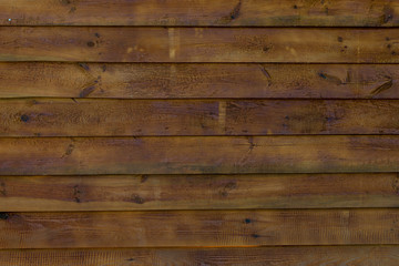 Naklejka premium texture of bark wood use as natural background