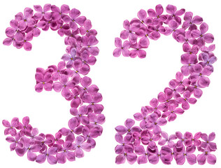 Arabic numeral 32, thirty two, from flowers of lilac, isolated on white background