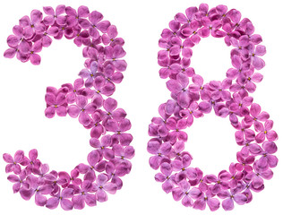 Arabic numeral 38, thirty eight, from flowers of lilac, isolated on white background