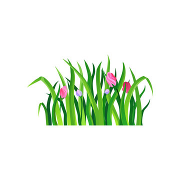 Long green grass with blooming spring flowers. Nature and gardening theme. Decorative herbal border. Colorful vector design