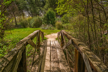 Wooden bridge in a garden of Alcal&aacute; de Henares on a spring morning.