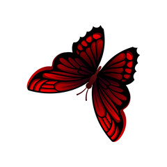 Flat vector icon of bright red-black butterfly with beautiful ornaments on wings. Flying insect. Element for greeting card, textile or poster