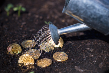 Bitcoin Growing Watering