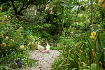 Chicken house © #moreideas