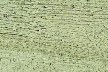 Fototapeta premium old wooden green background. 