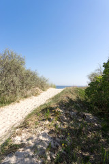 Fototapeta na wymiar Sandy path to the beach between the dunes, Baltic Sea Germany