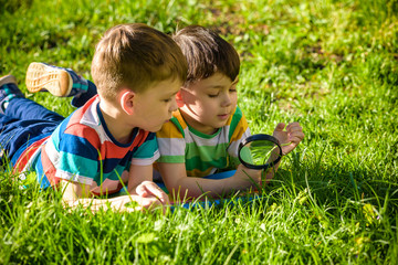 Beautiful happy children, boy brothers, exploring nature with magnifying glass, summertime