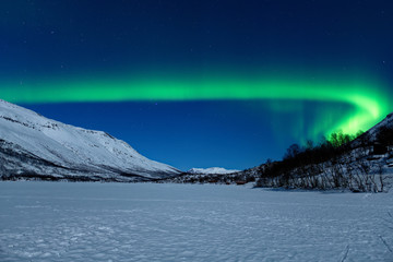 Nordlicht über dem Nakkevatnet