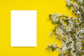 White sheet of paper and Cherry Twig with Colors on a yellow background. Flat lay, top view