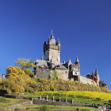 Chochem Castle and vineyards in autumn, Cochem, Rhineland-Palatinate, Germany, Europe