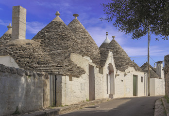 Fototapeta na wymiar Alberobello: trulli houses , Apulia, Italy. These typical houses with dry stone walls and conical roofs are unique to the world and it's a UNESCO World Heritage.