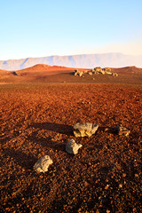 Plaine des Sables, Reunion Island