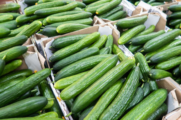 Cucumbers at the market