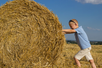 pushing on a haystack