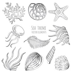 Set of seashells, starfish and jellyfish on white background for design.