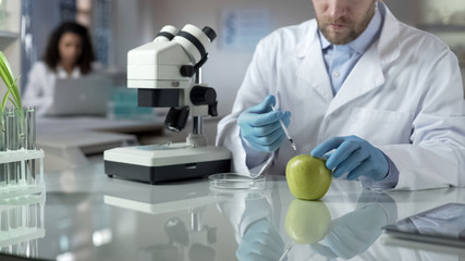 Lab assistant injecting apple with portion of pesticide for marketable condition