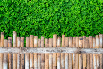 Brown bamboo background with green background.