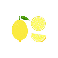 Fresh lemon fruits. Collection of Lemon and slices . Hand drawn vector illustrations.