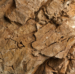 Textured surface of rock