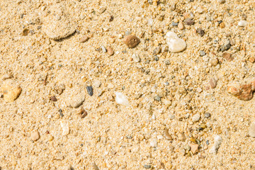 Fototapeta na wymiar Large yellow sand.