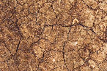 Cracks in the ground