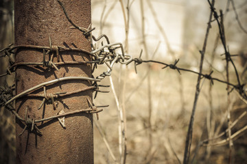 Barbed wire fencing.