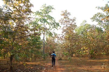 Asian men travel photograph nature. Travel relax. Walk on the path. Nature Study in the Jungle. 