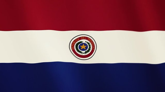 Paraguay flag waving animation. Full Screen. Symbol of the country.