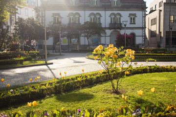 beautiful street in city Viseu, Portugal - obrazy, fototapety, plakaty