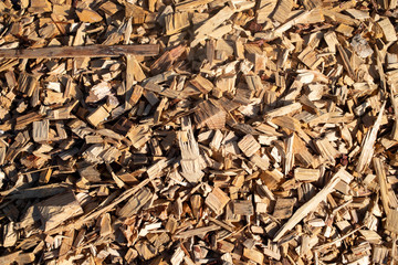 texture background wood sawdust dry