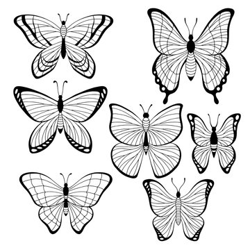 Butterfly set graphic black white isolated sketch illustration vector