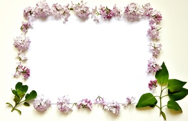 background of lilac flowers