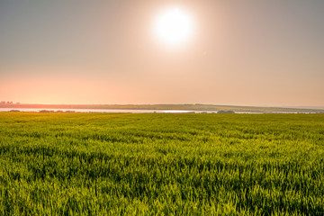 Sun light over the horizon