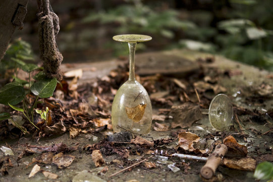Old broken wine glass on autumn table