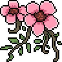 vector pixel art pink flower