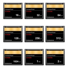 Set of black standard digital compact flash memory cards of different sizes on a white background. Collection media card for digital data 